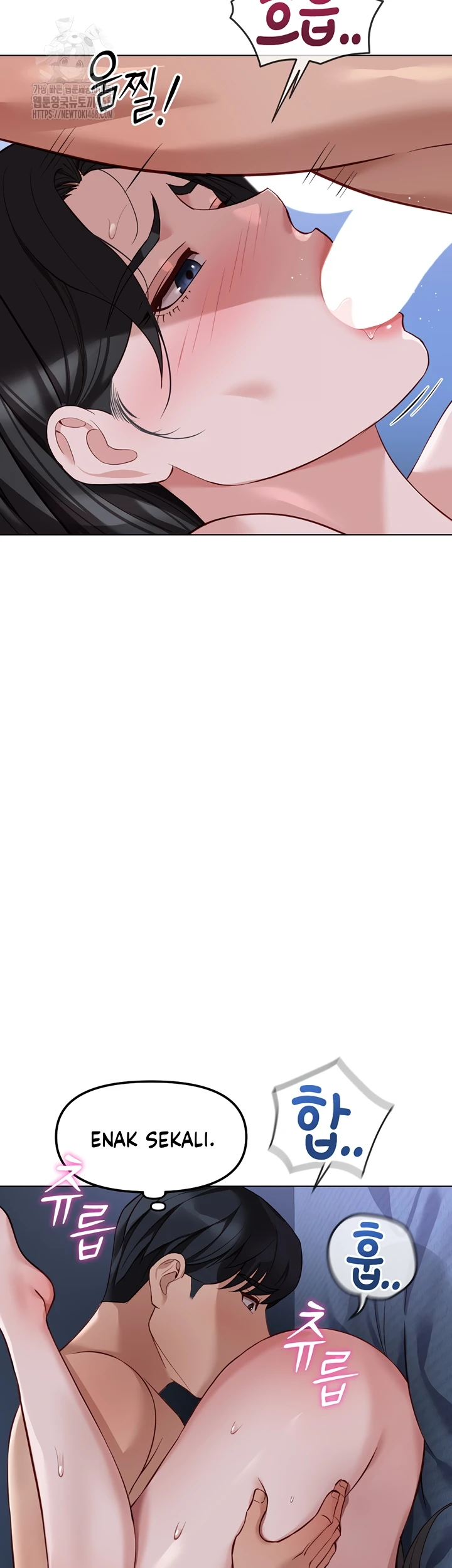 Common Sense Manipulation Program - Page 13